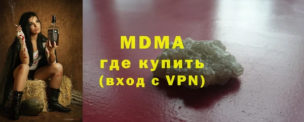индика Алексин