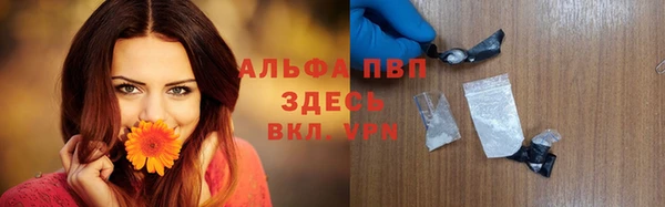 индика Алексин