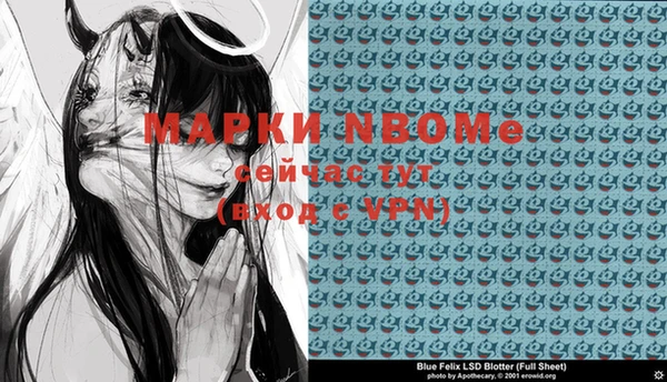 индика Алексин