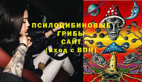 индика Алексин